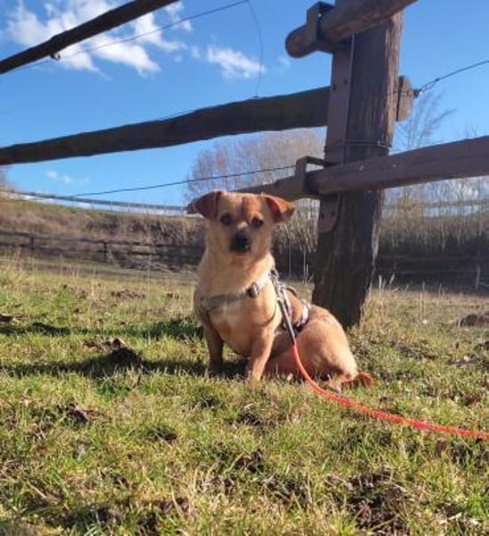 Renee wartet in 34414 Warburg auf Dich!