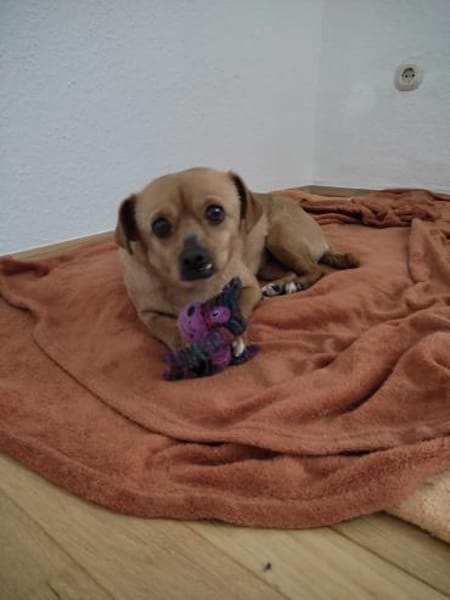 Renee wartet in 34414 Warburg auf Dich!