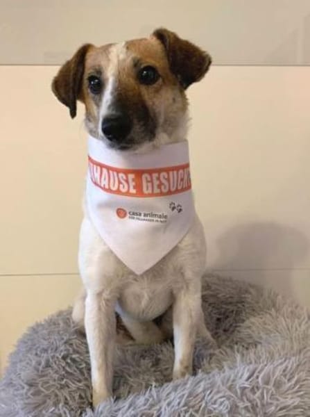 MIRKA sucht Geborgenheit