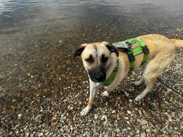 Jacky - sucht die richtigen Menschen