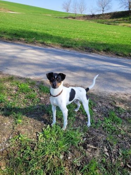Toller Bodeguero sucht Einzelplatz