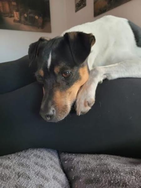 Toller Bodeguero sucht Einzelplatz