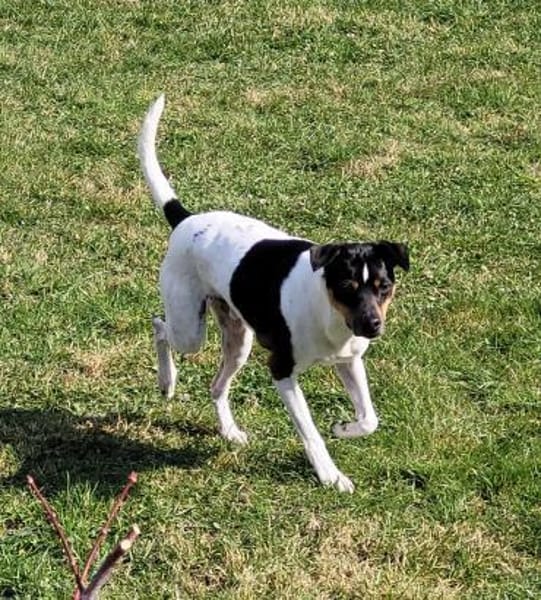 Toller Bodeguero sucht Einzelplatz