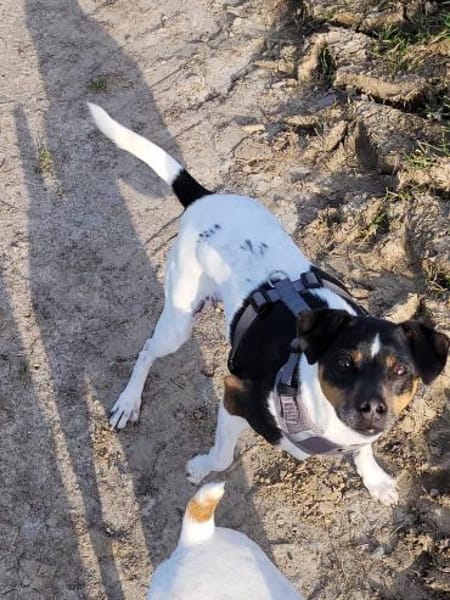Toller Bodeguero sucht Einzelplatz