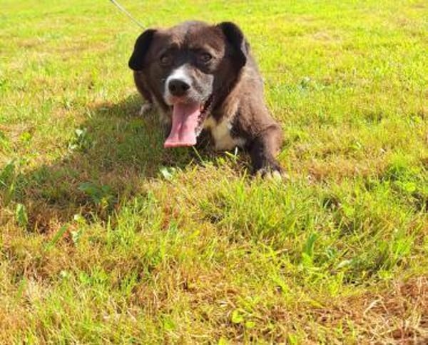 Cooler Partner in Crime- Cosmo