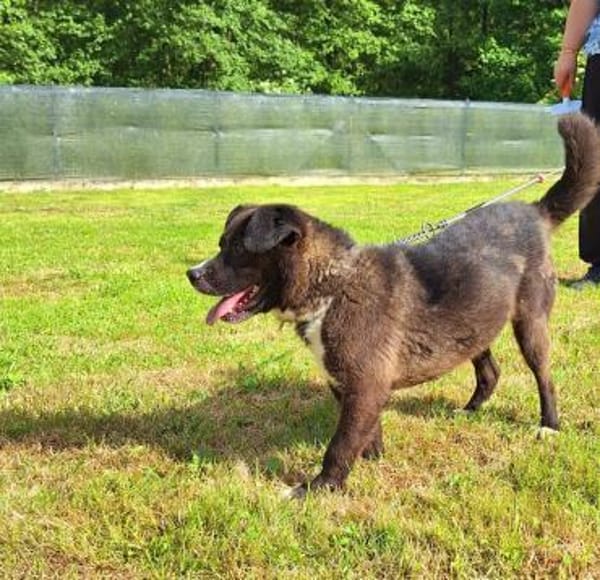 Cooler Partner in Crime- Cosmo