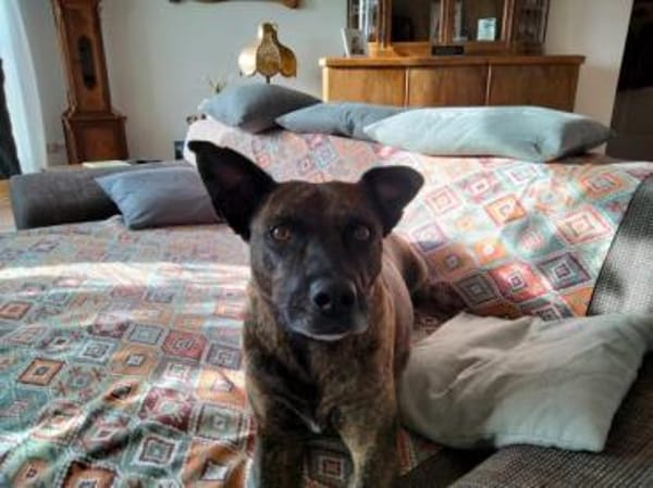 GRETA -Sonnenschein mit viel Charme-