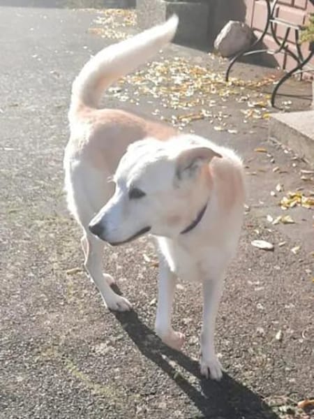 TOBIA jun. - auf PS in Rheinland-Pfalz