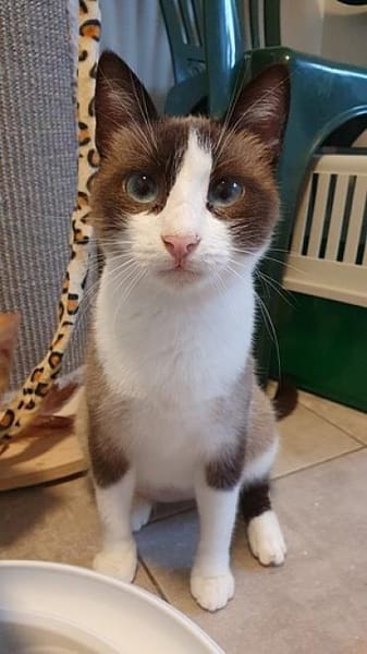 Ziehmutter Indira und Waisenkind Ilona