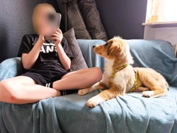 ❤Loli  zartes Herz mit Kuschelbedarf