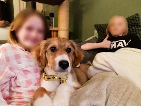 ❤Loli  zartes Herz mit Kuschelbedarf