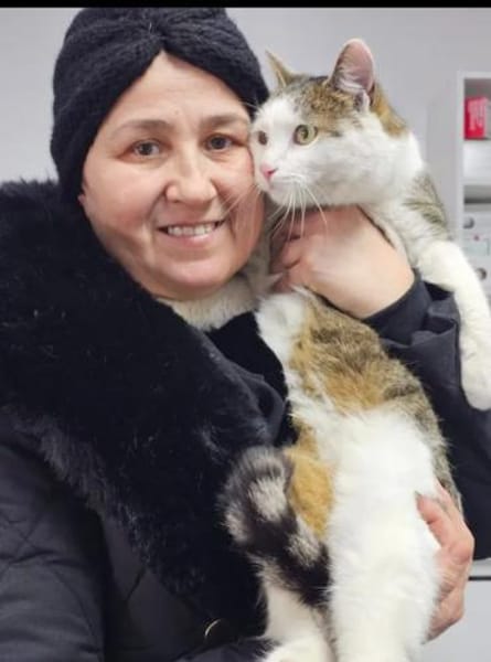 Jonny Stattlicher Kater sucht  Familie