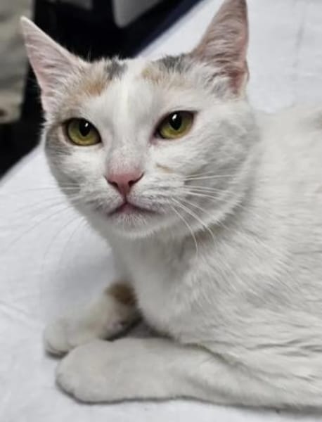 Daisy & Baby tolles  Mutter-Sohn Pärchen