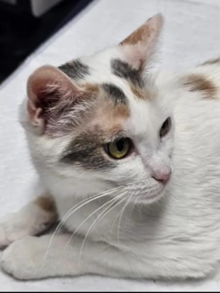 Daisy & Baby tolles  Mutter-Sohn Pärchen