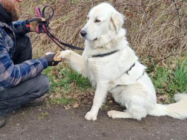 Alex sucht liebe Menschen