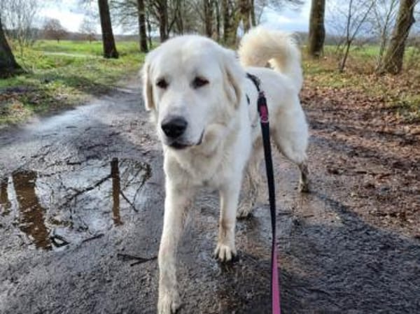 Alex sucht liebe Menschen