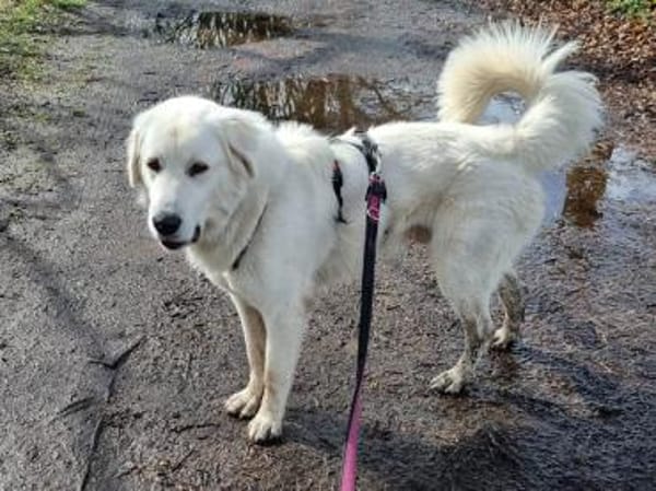 Alex sucht liebe Menschen