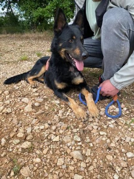 Jafar sportlich mit großem ❤ sucht