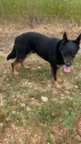 Jafar sportlich mit großem ❤ sucht