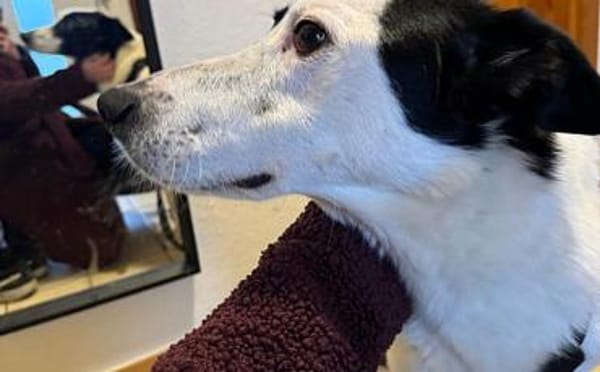 Solon will endlich ankommen!