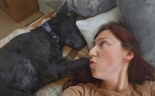 Gütiges Zuhause für liebenswerten Pepper