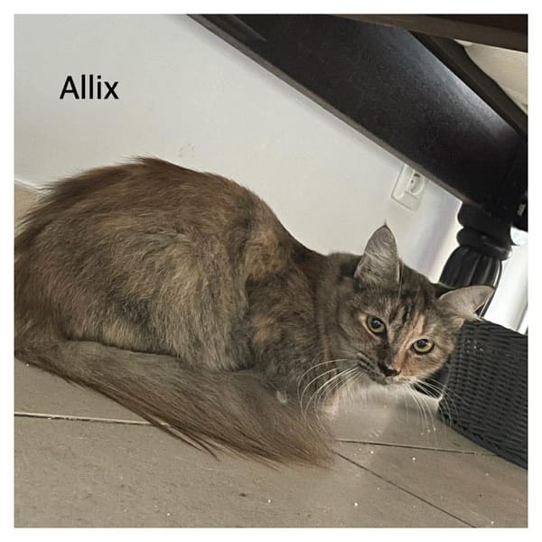 ALLIX CHATONNE REUNON