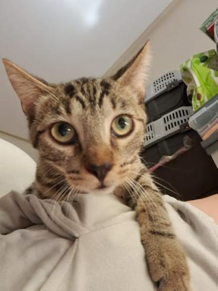 Billy & Rally- Zuckersüße Brüder