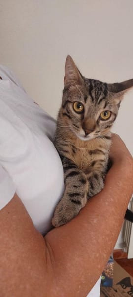 Billy & Rally- Zuckersüße Brüder