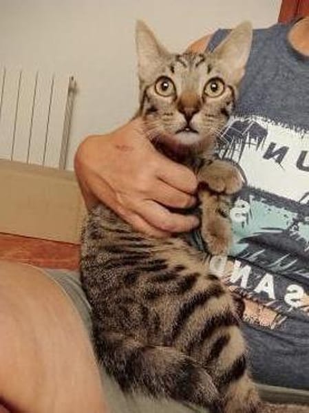 Billy & Rally- Zuckersüße Brüder