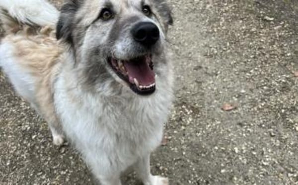 Shine möchte dein Leben erhellen