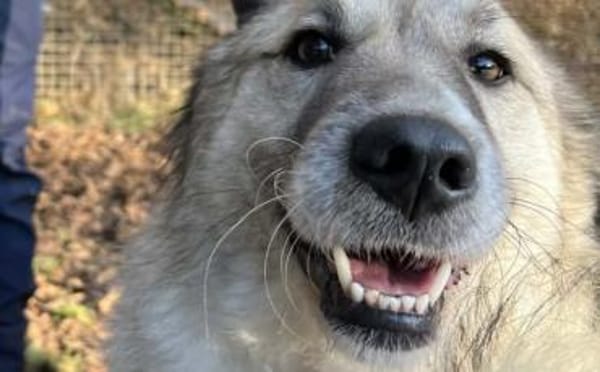 Shine möchte dein Leben erhellen