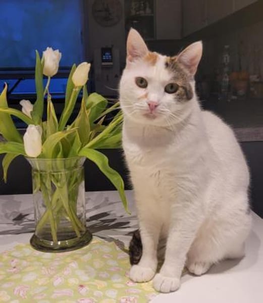 Liebe Fleki sucht ihre Familie