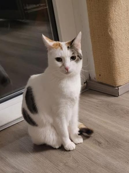 Liebe Fleki sucht ihre Familie