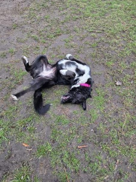 Zara sucht ihre Familie