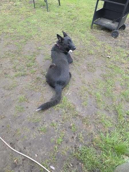 Zara sucht ihre Familie