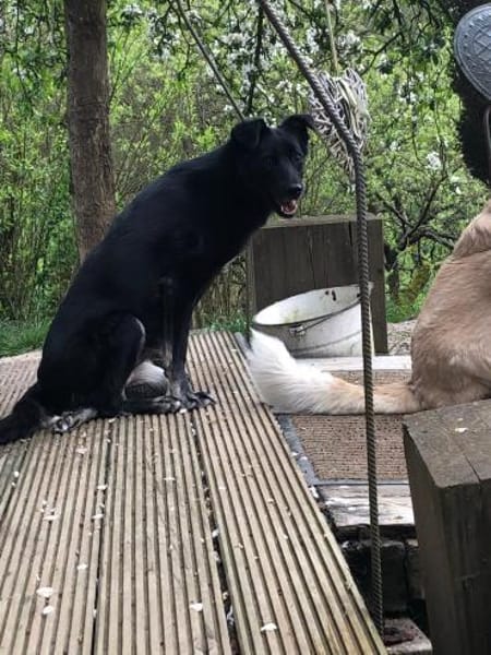 Martha❤derzeit in 56291 Hausbay