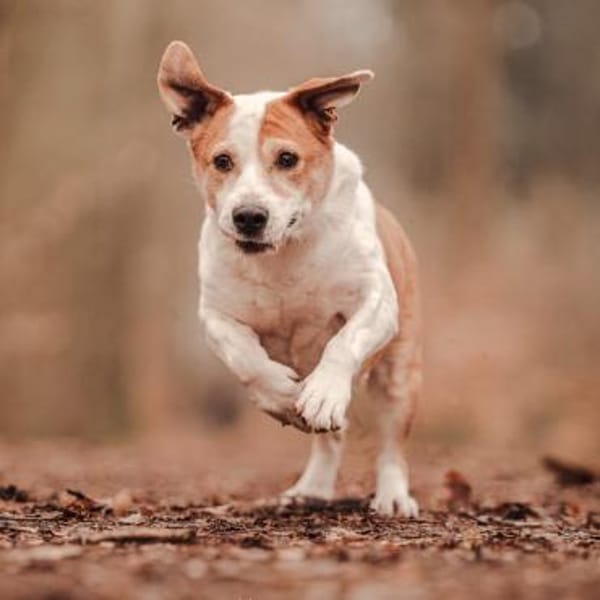 Christoph - ein charmantes Unikum