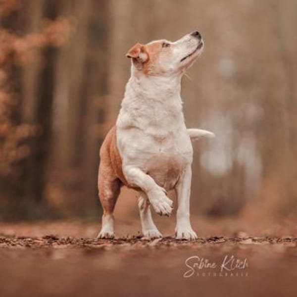 Christoph - ein charmantes Unikum