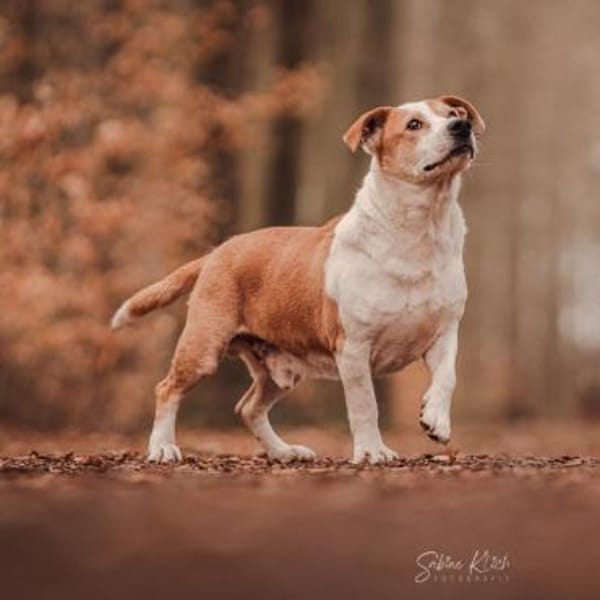 Christoph - ein charmantes Unikum