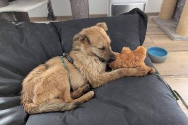 BILBO ist ein fröhliches Kerlchen