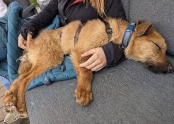 BILBO ist ein fröhliches Kerlchen