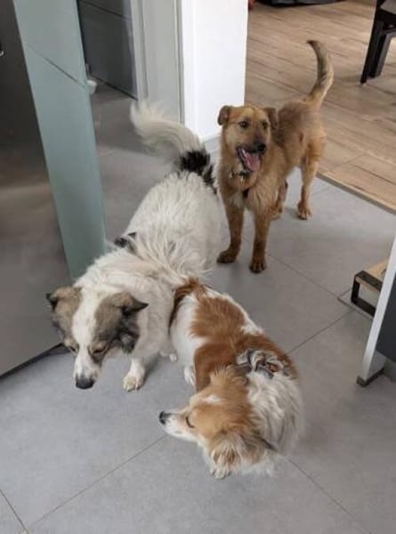 BILBO ist ein fröhliches Kerlchen