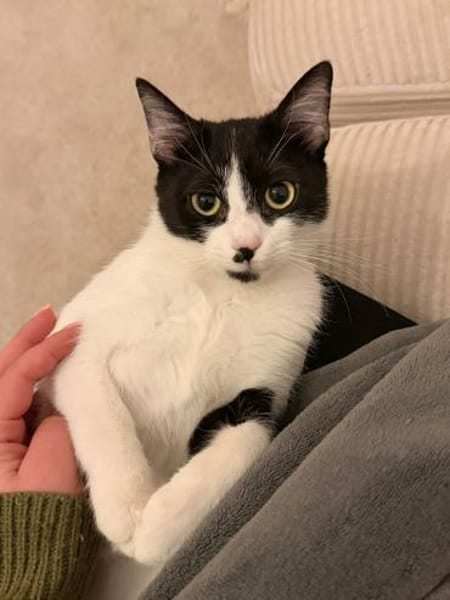 Chupa - aktive Entdeckerin