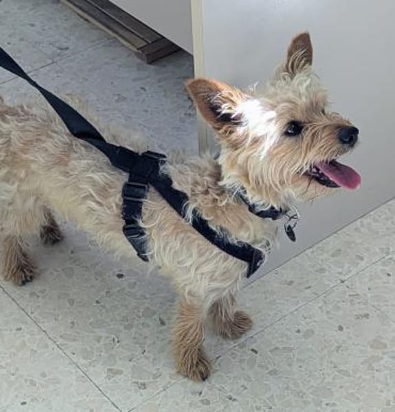 CHARLIE will geliebt werden