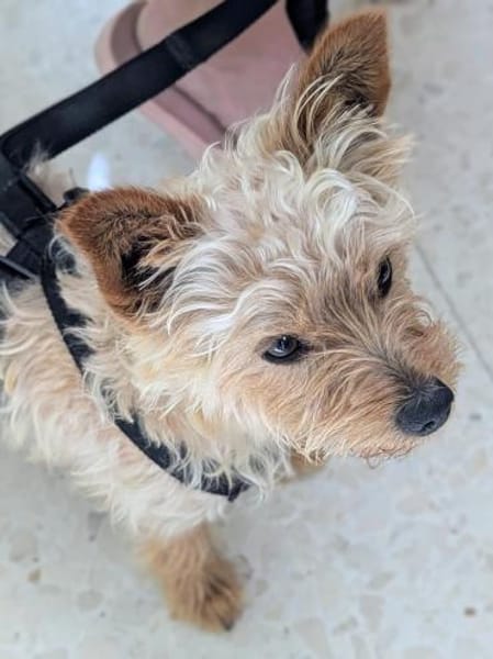 CHARLIE will geliebt werden