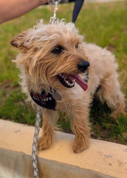 CHARLIE will geliebt werden