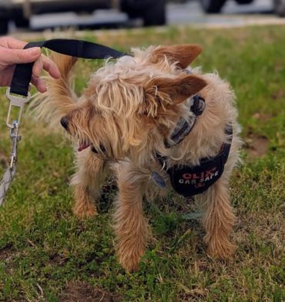 CHARLIE will geliebt werden