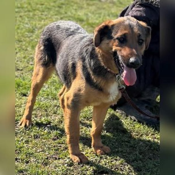 Liebe Zora sucht nette Familie