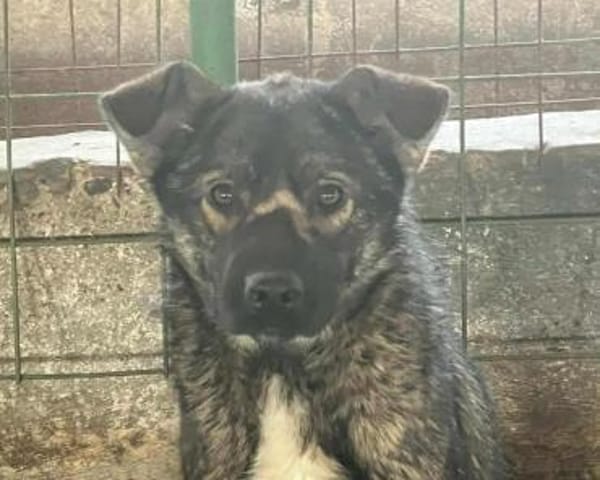 DUPLO jetzt auf PS in 65... Hünfelden