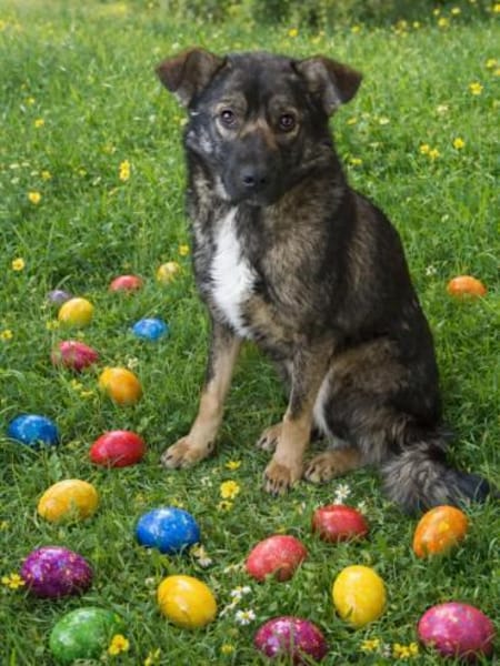 DUPLO jetzt auf PS in 65... Hünfelden